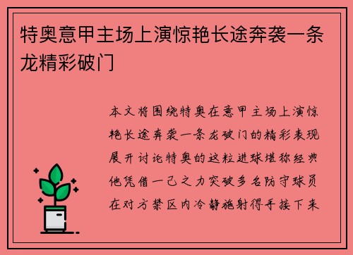 特奥意甲主场上演惊艳长途奔袭一条龙精彩破门